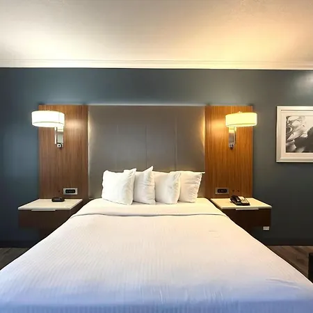 Best Western Hollywood Plaza Hotel - Walk Of Fame Film City La-3